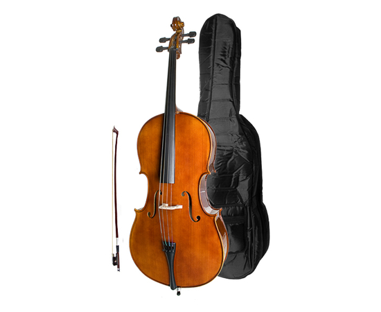 Виолончель 1/2 Stagg VNC-1/2 - 17982 за 0 грн. | 4Club